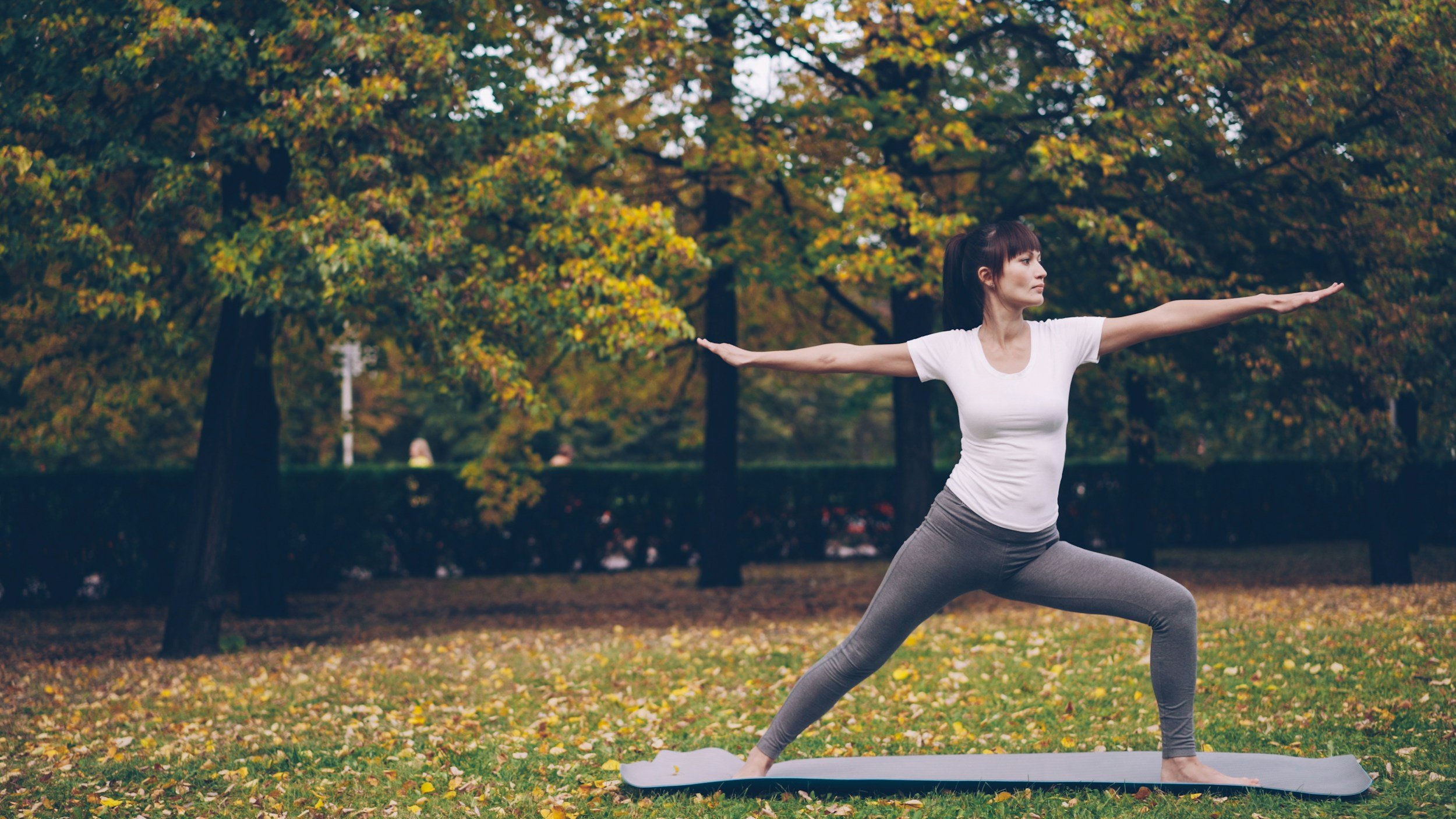 Yoga Fall Session: Root to Gather