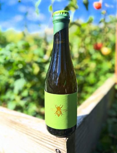 Pickle beer Release