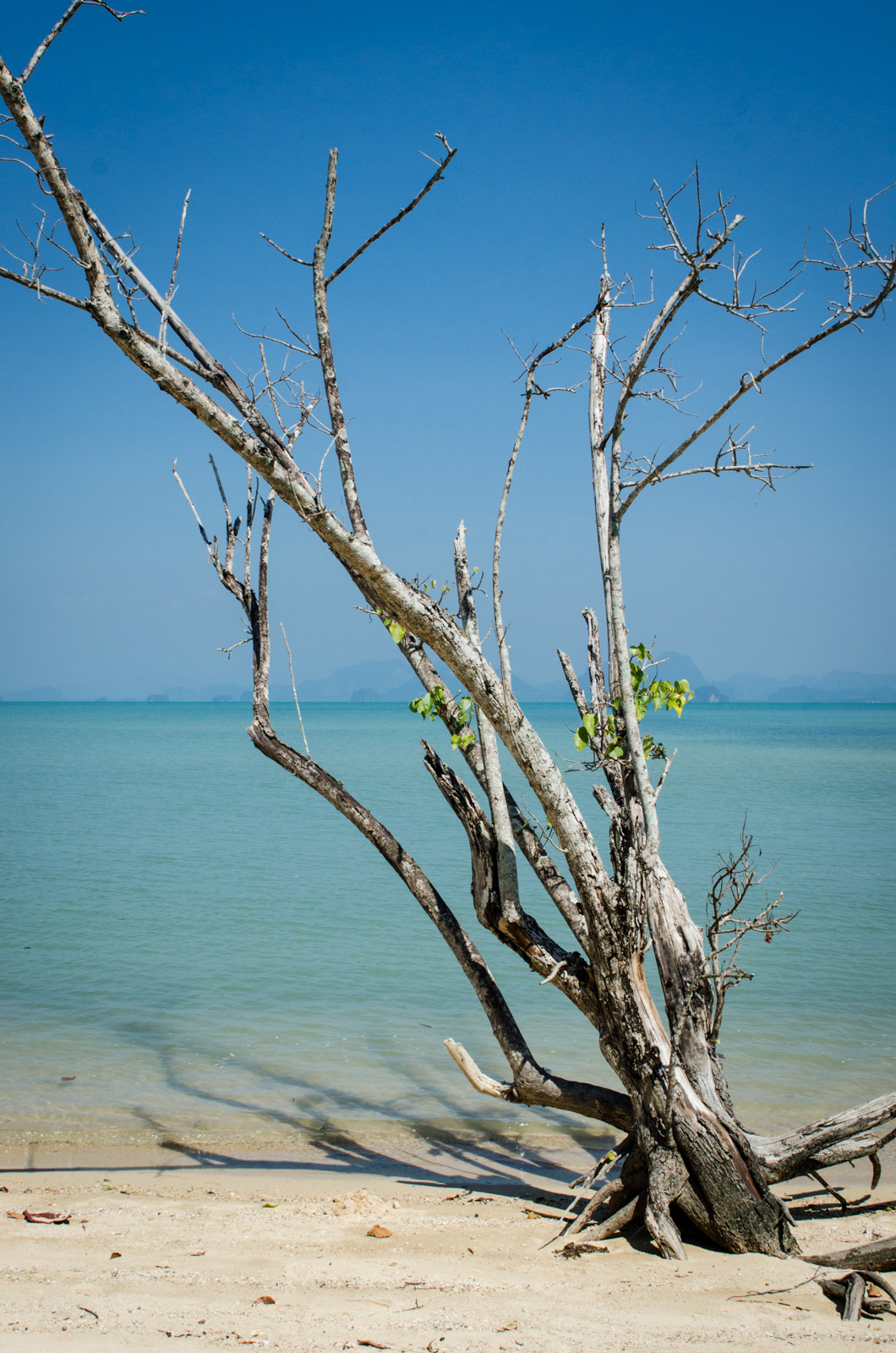 KohYaoNoi-Thailand-AmyRolloPhoto-2-55.jpg