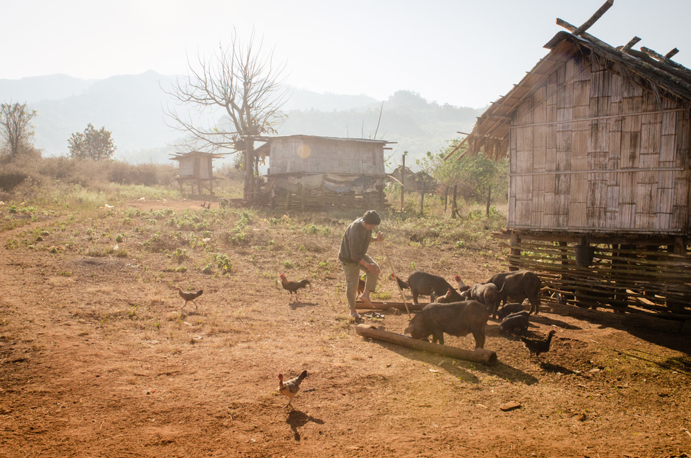 Pai-trekking-Thailand-AmyRolloPhoto-2-39.jpg