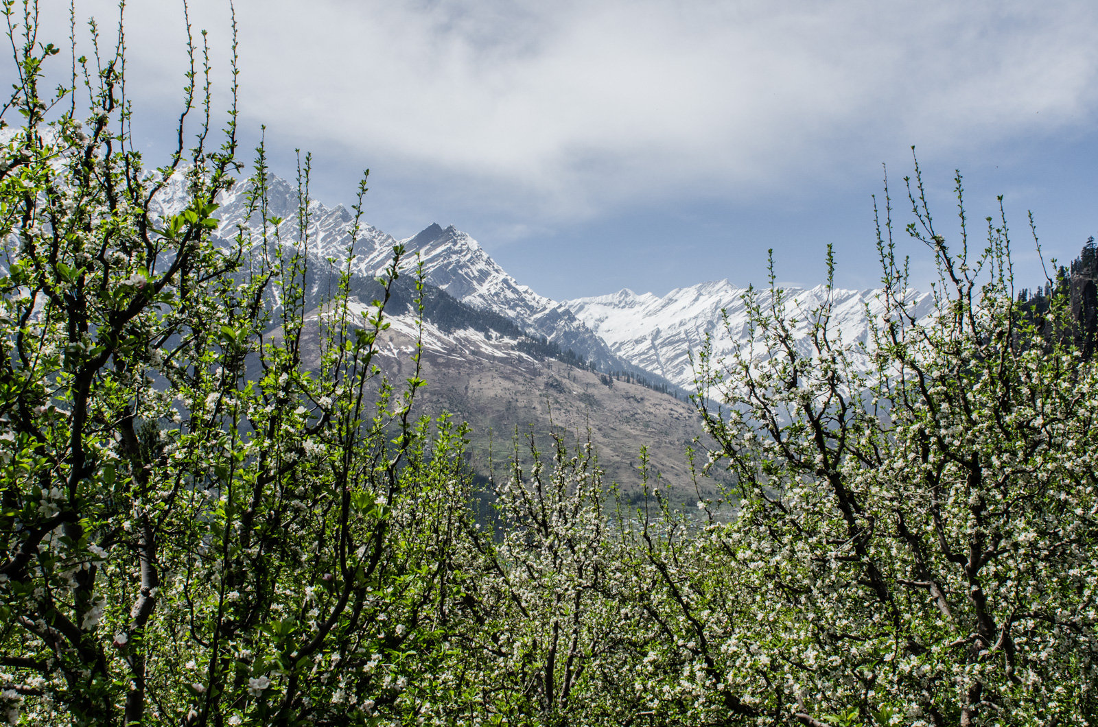 Manali-HimachalPradesh-Bouldering-RockClimbing-AmyRolloPhoto-3094.jpg