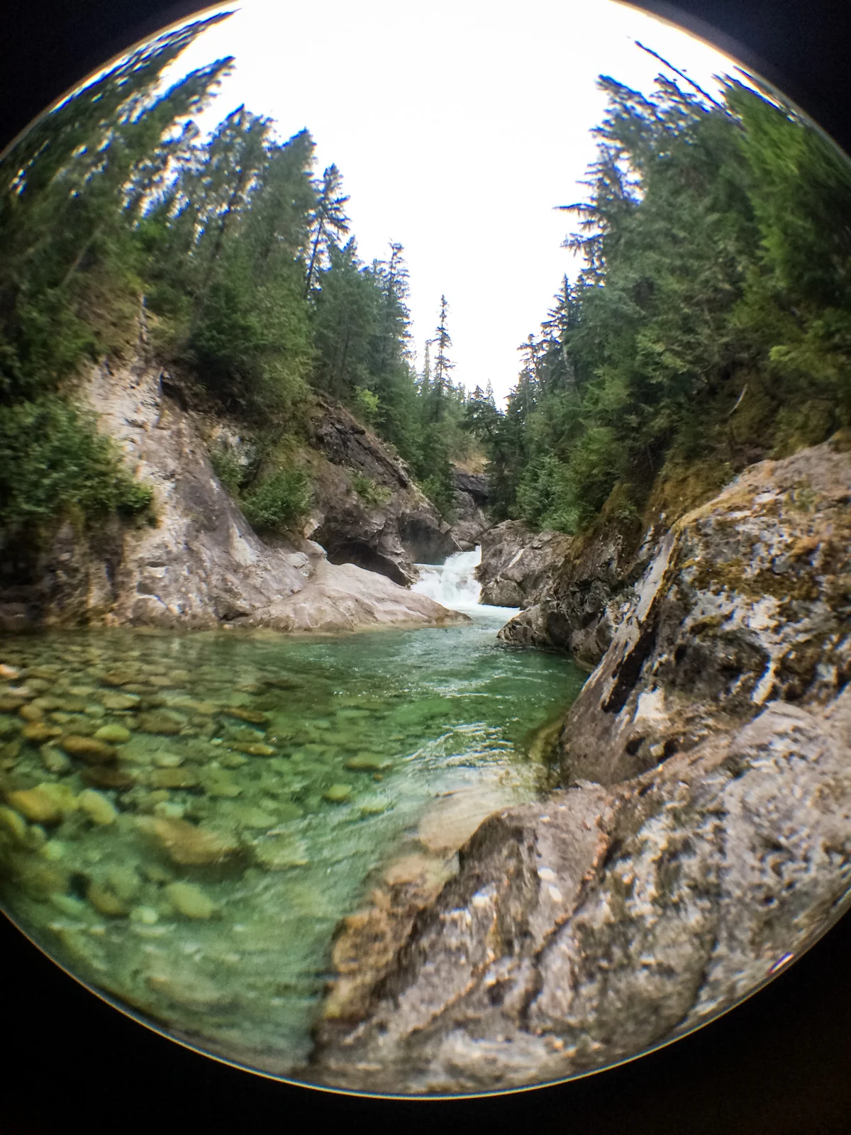 BritishColumbia-Canada-AmyRolloPhoto-90.jpg