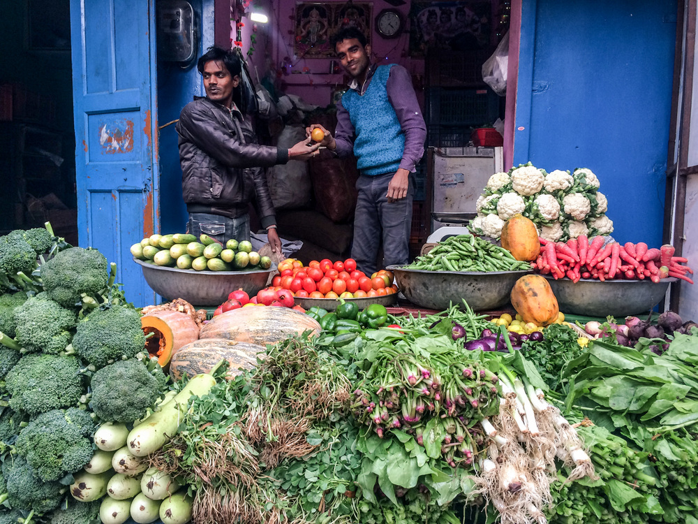 Rishikesh-Uttakarand-India-AmyRolloPhoto-2235.jpg