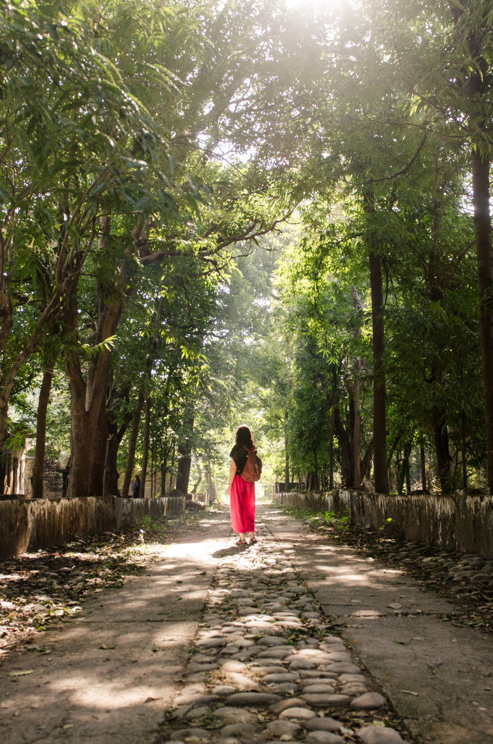 Rishikesh-Uttakarand-India-BeatlesAshram-AmyRolloPhoto-0542.jpg