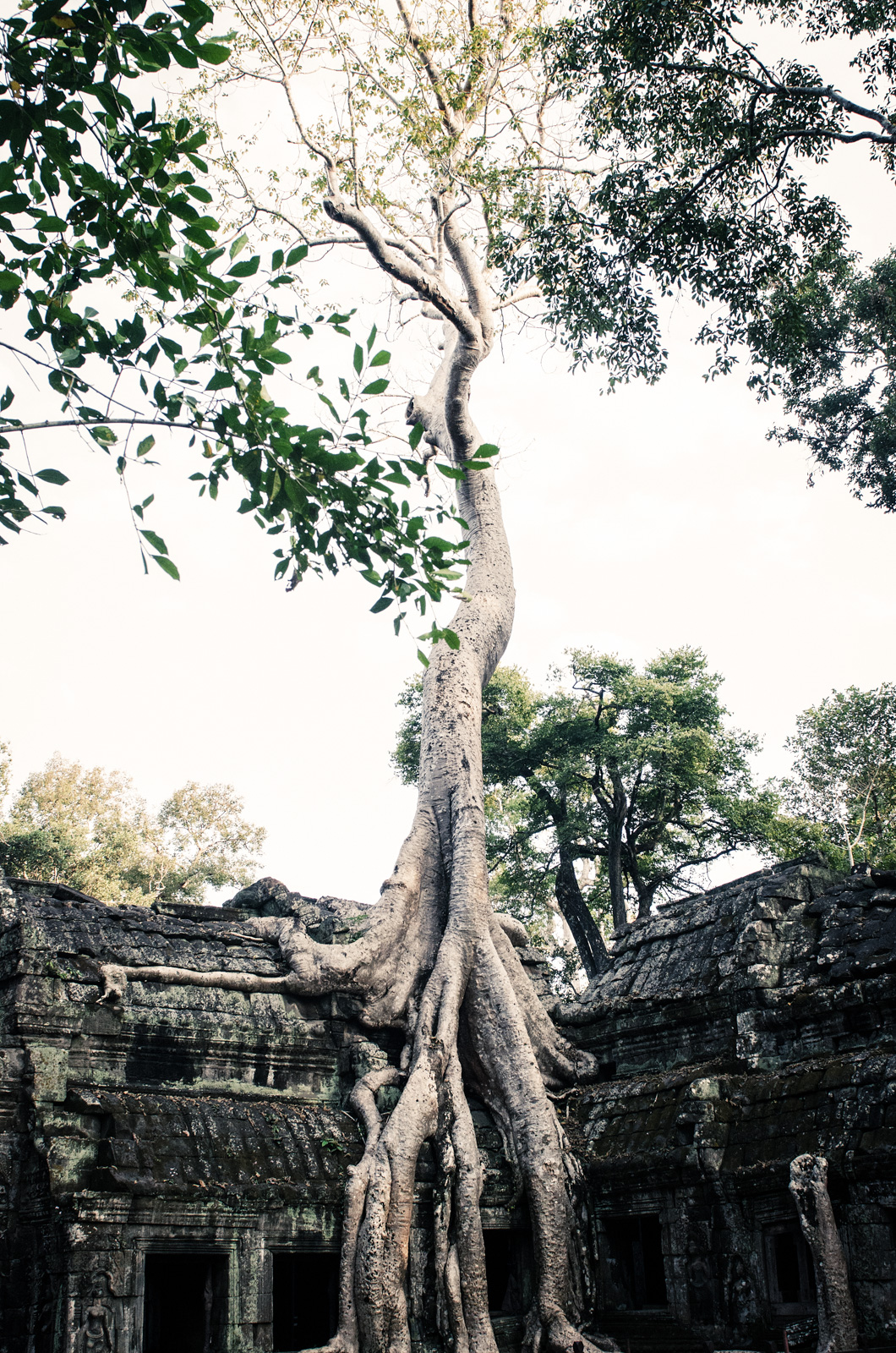 AngkorTemples-SiemReap-Cambodia-AmyRolloPhoto-2-242-Edit.jpg