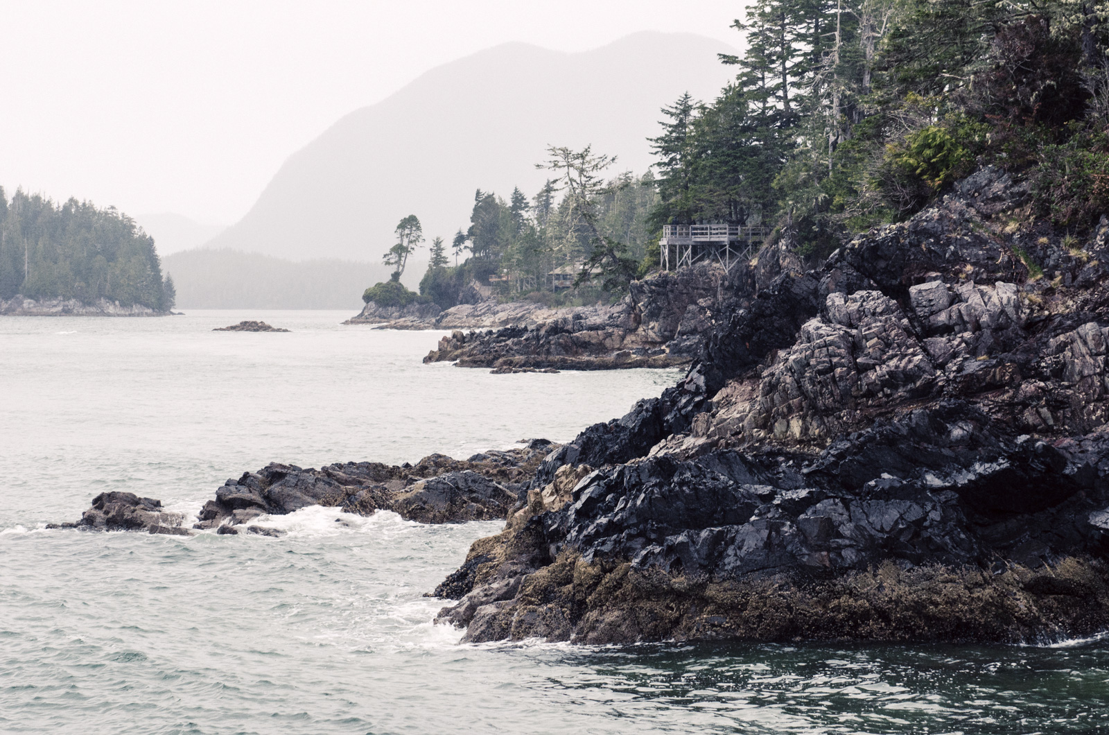 Tofino-BritishColumbia-Canada-AmyRolloPhoto-6828-Edit.jpg