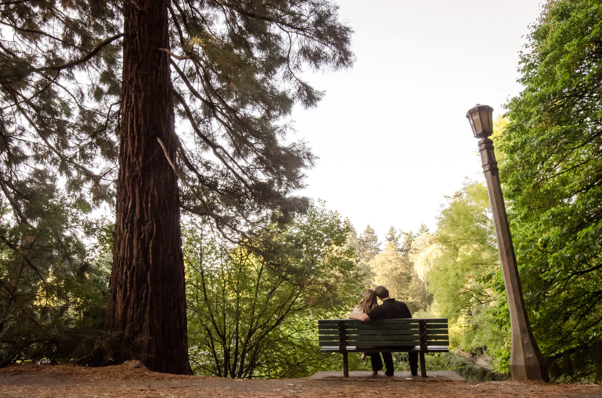 Engagement-Wedding-Photography-AmyRollo-5.jpg
