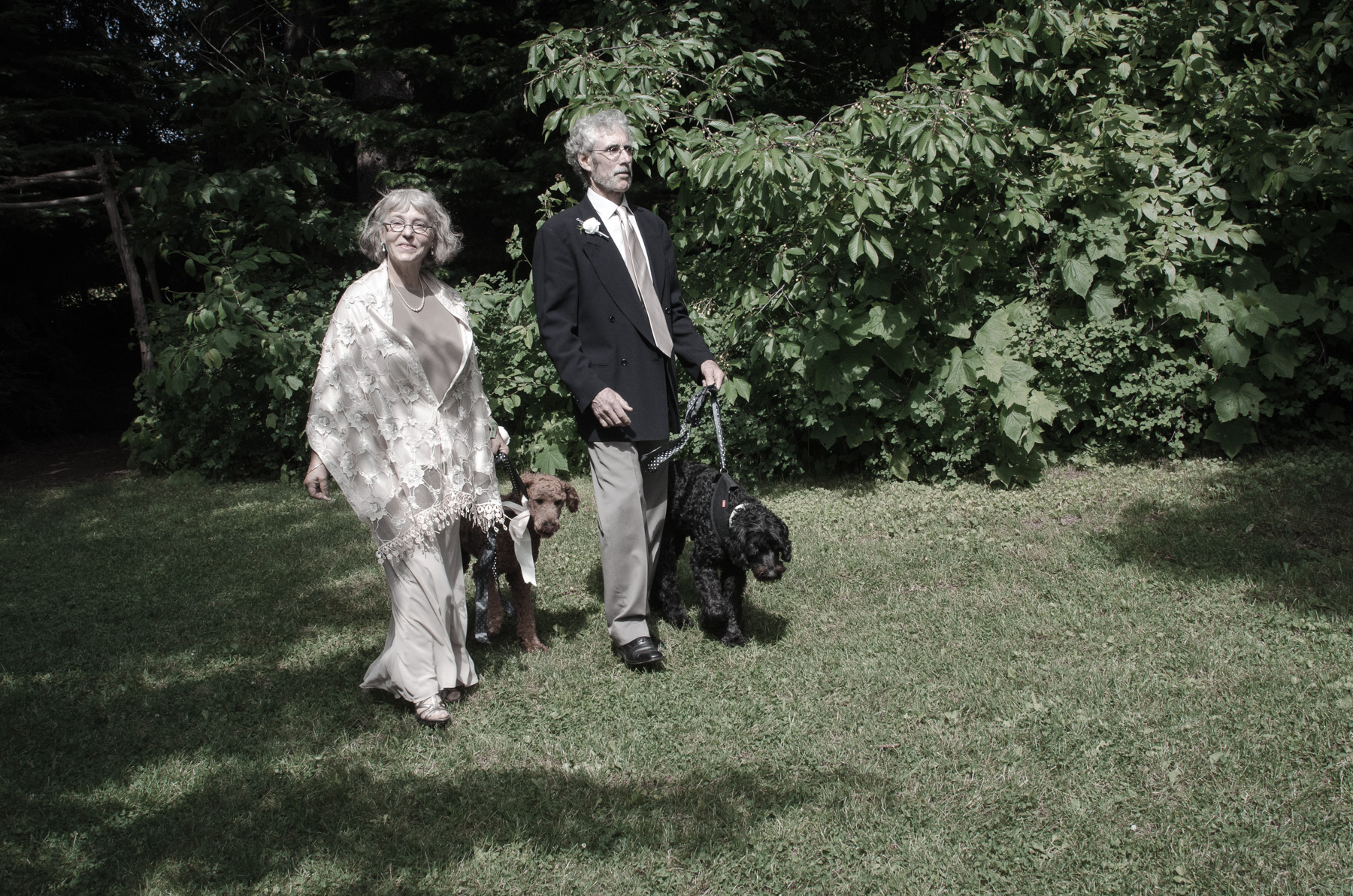 VA-wedding-AmyRollo-4715.jpg