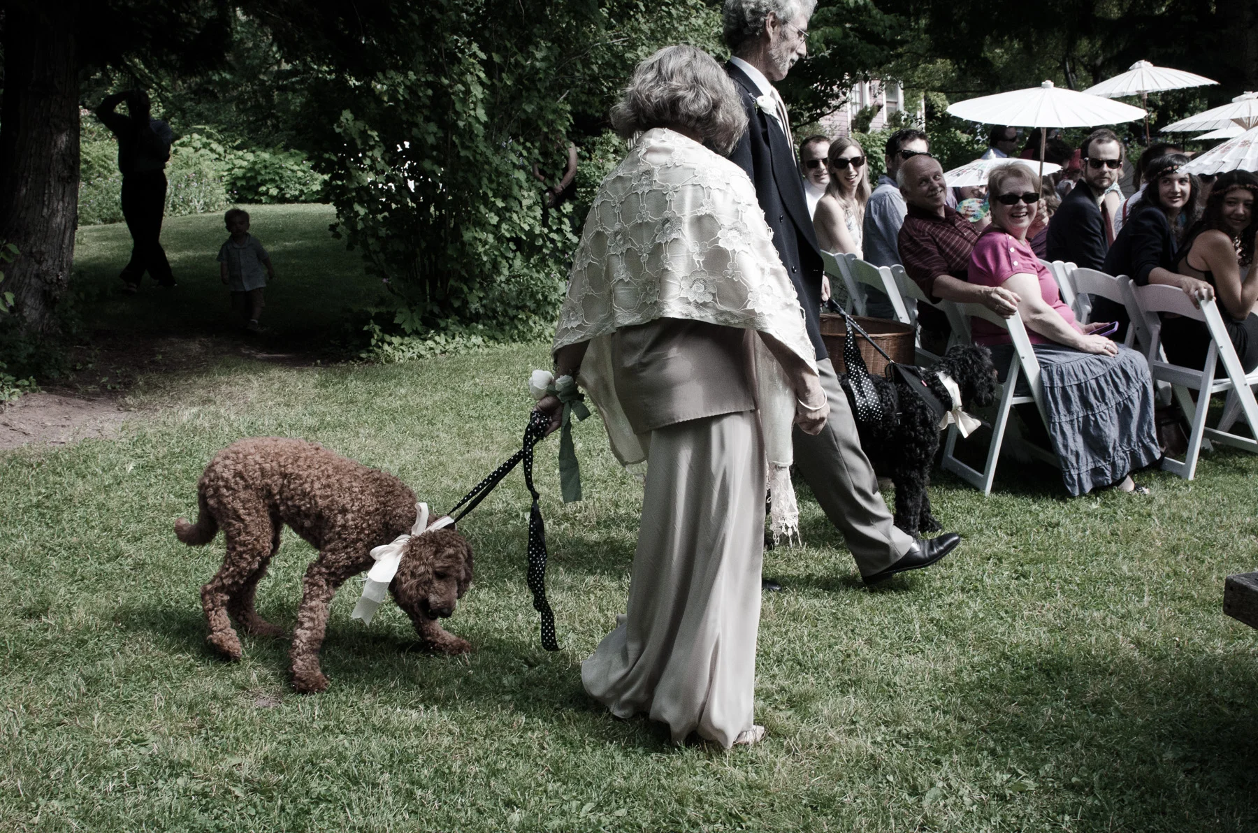 VA-wedding-AmyRollo-4719.jpg
