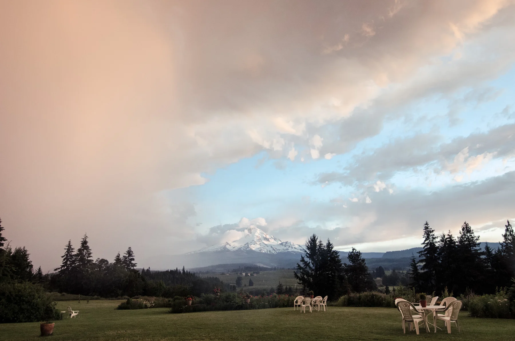 VA-wedding-AmyRollo-5575.jpg