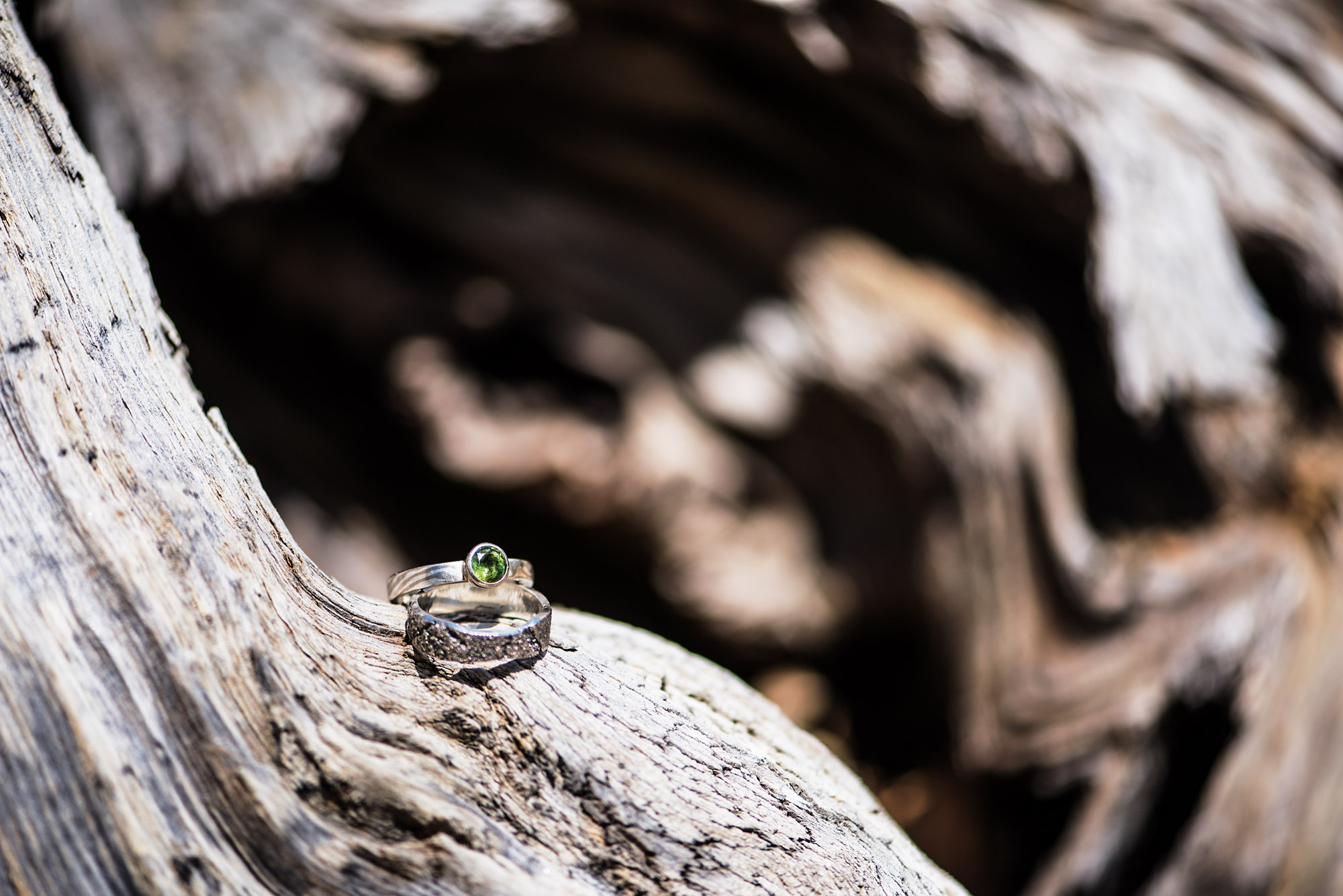 AmyRolloPhoto-Do-Lanning-Wedding-YosemiteNationalPark--2.jpg