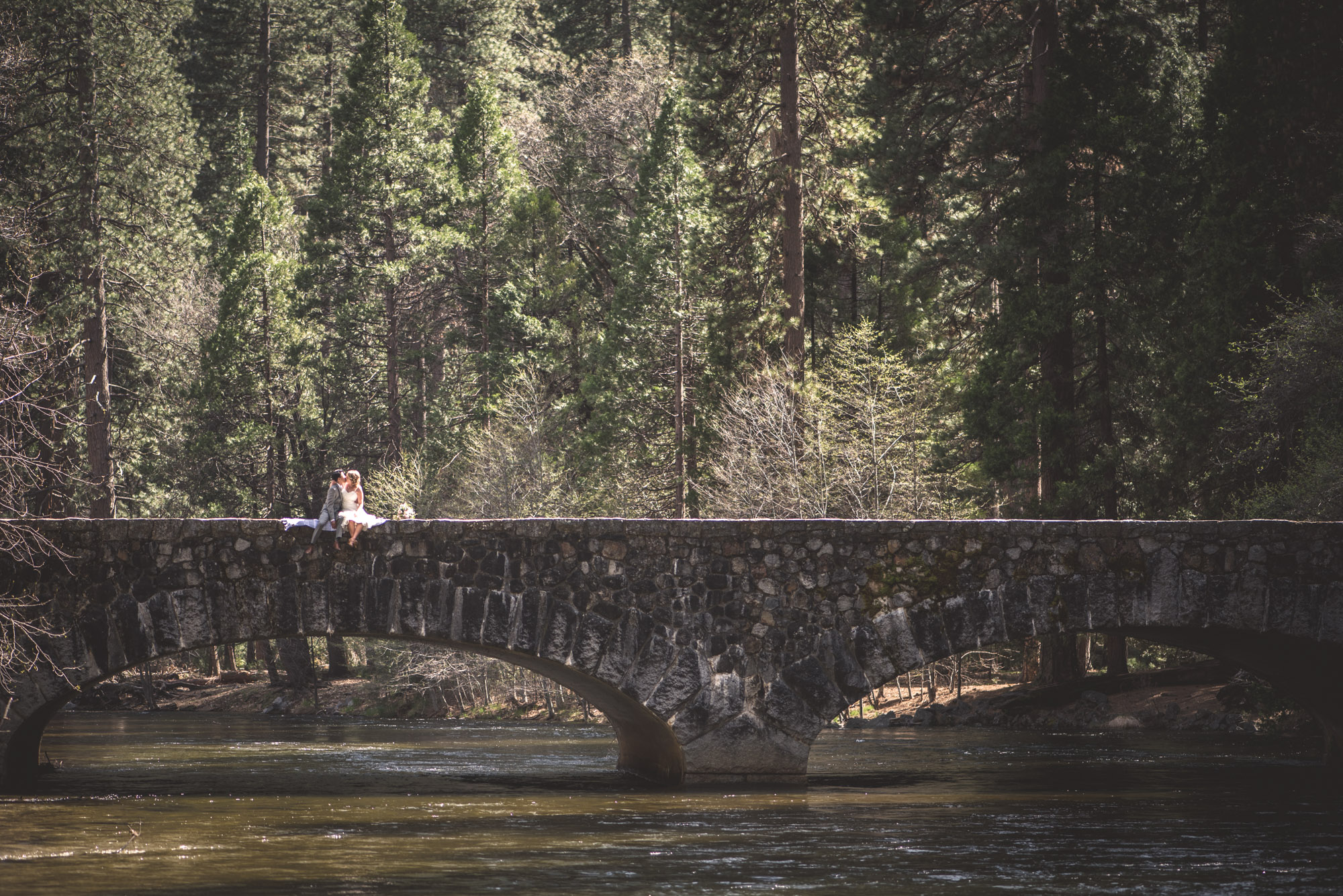 AmyRolloPhoto-Do-Lanning-Wedding-YosemiteNationalPark--3.jpg