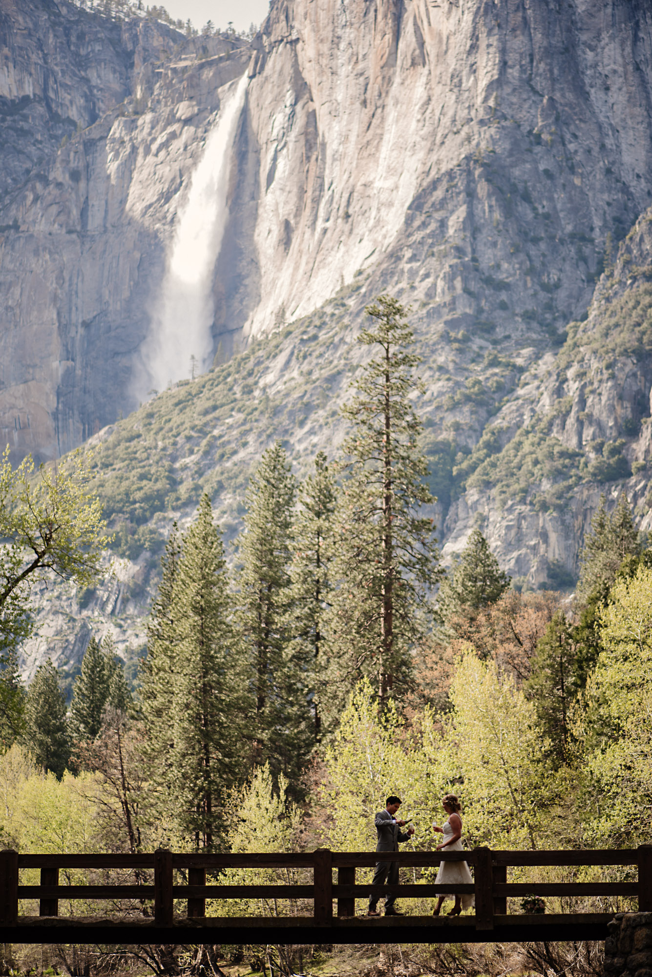 AmyRolloPhoto-Do-Lanning-Wedding-YosemiteNationalPark--6.jpg