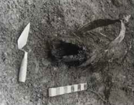 Birely-Tannery-Archaeology-2.png