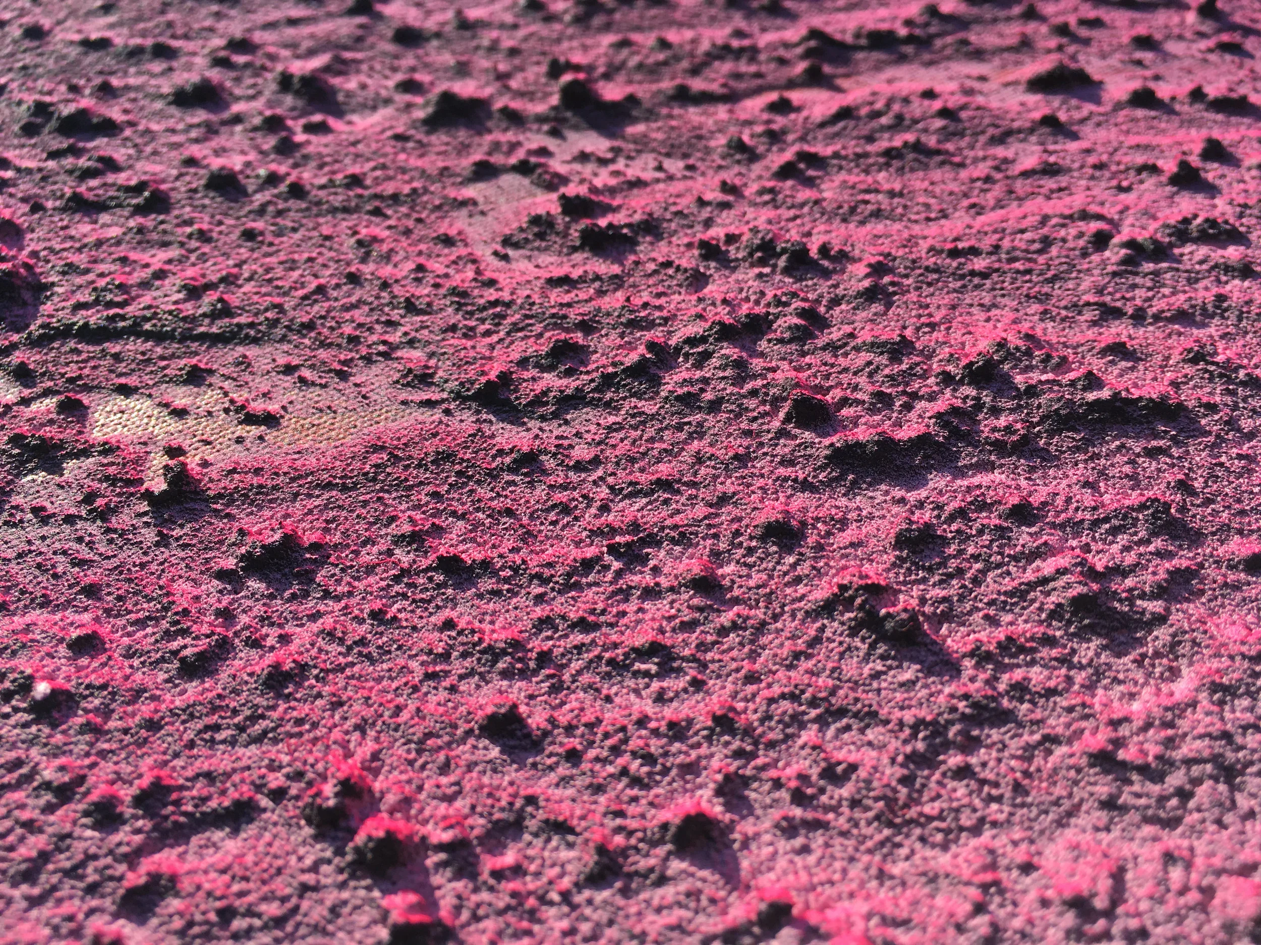 Butterfly Blood