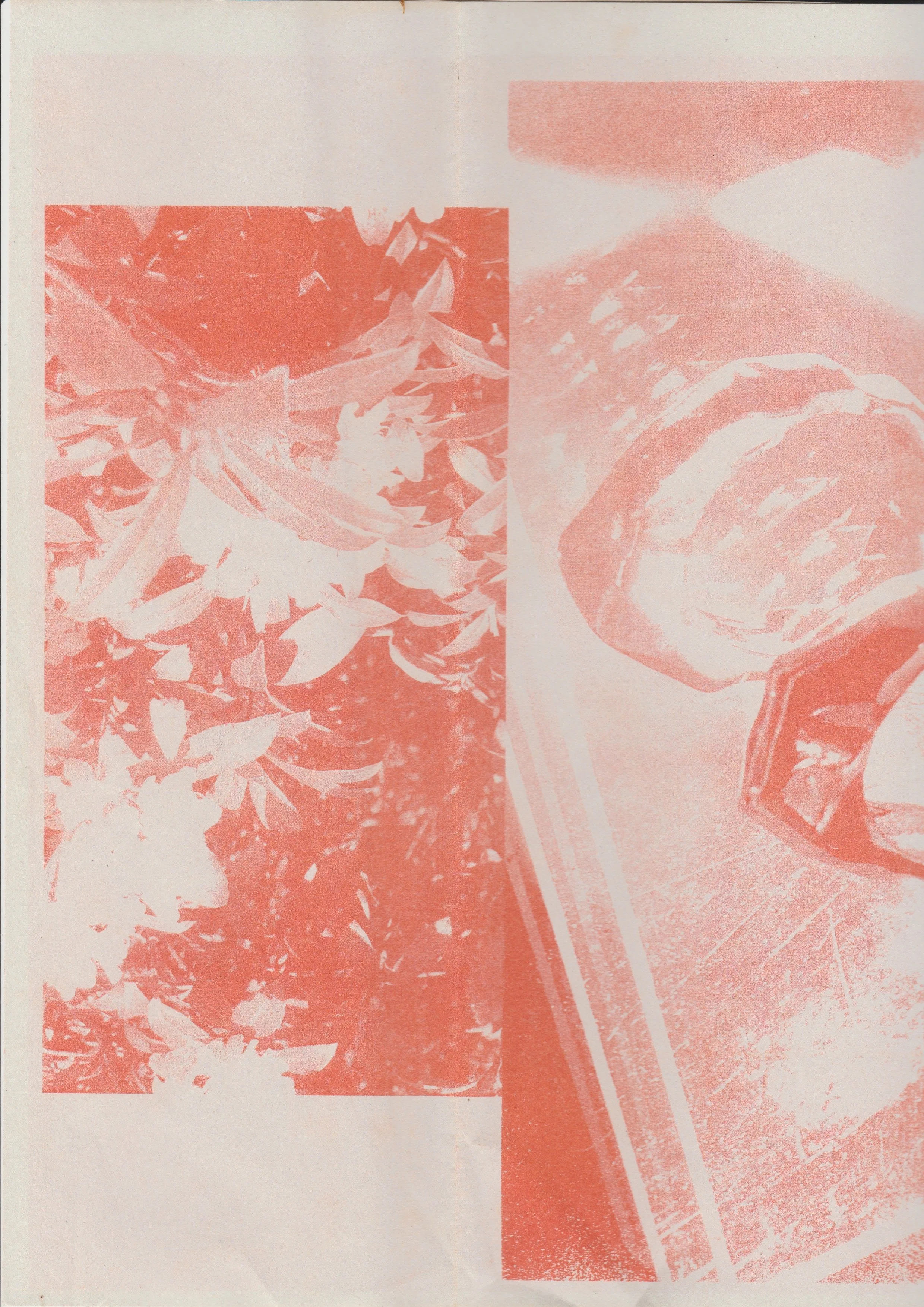 A red riso print of flowers