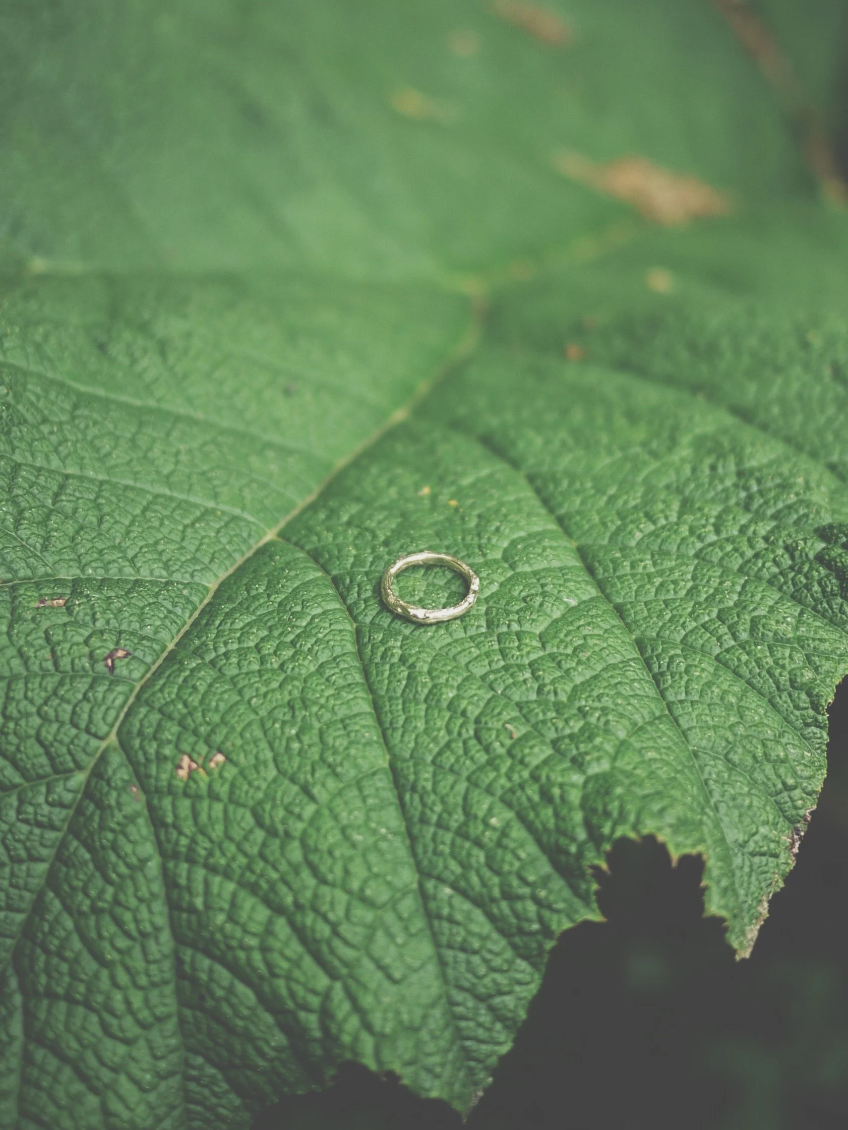 P1220341_VSCO 2.JPG