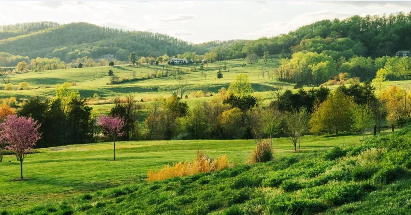 The balm of the beautiful countryside around Charlottesville feels good on a day like today. This photo from @southernlivingmag captures the views across @bundoran_farm from @pippinhillfarm
#albemarlecounty #peace