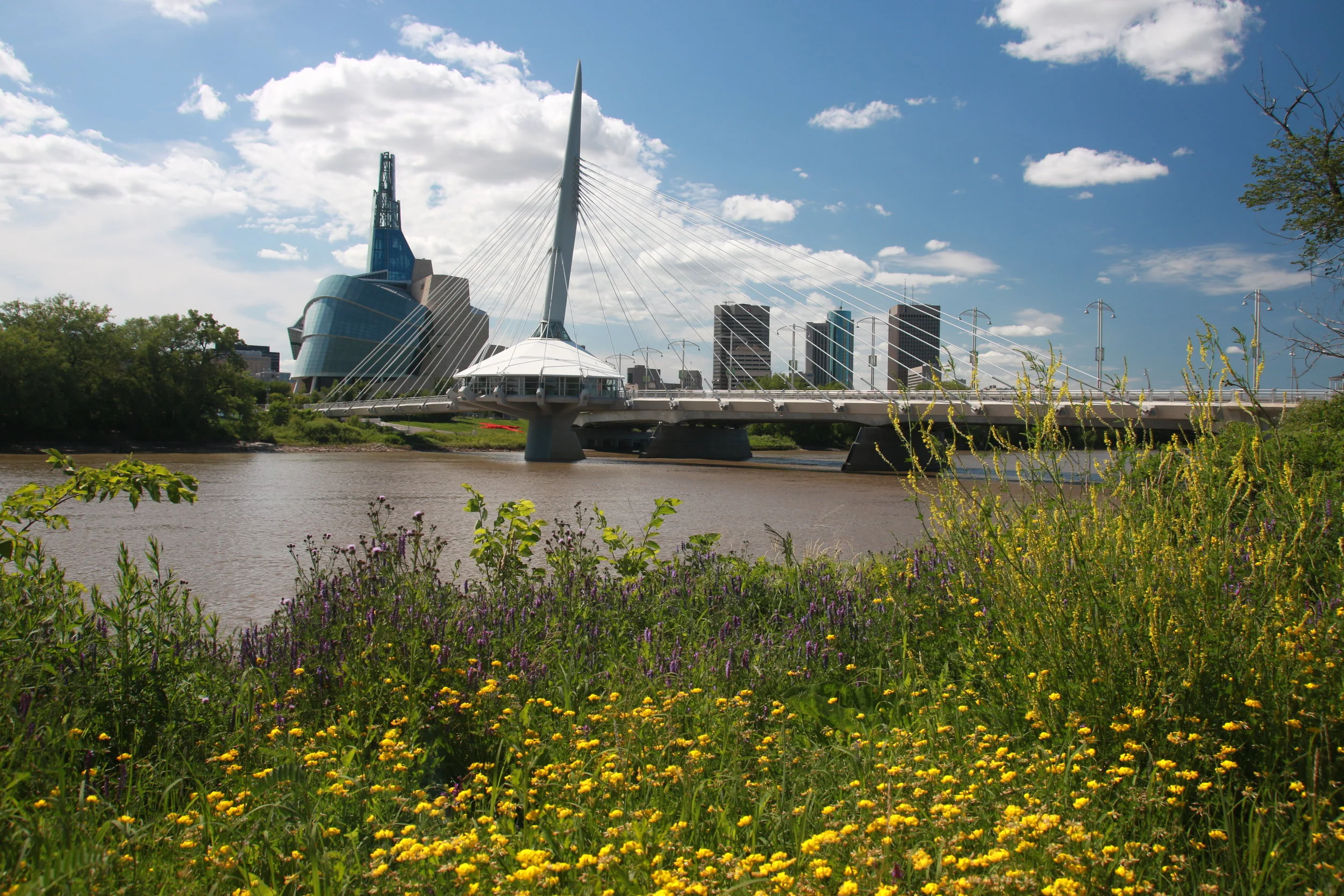 Call for chemistry education symposia proposals: 103rd CCCE 2020