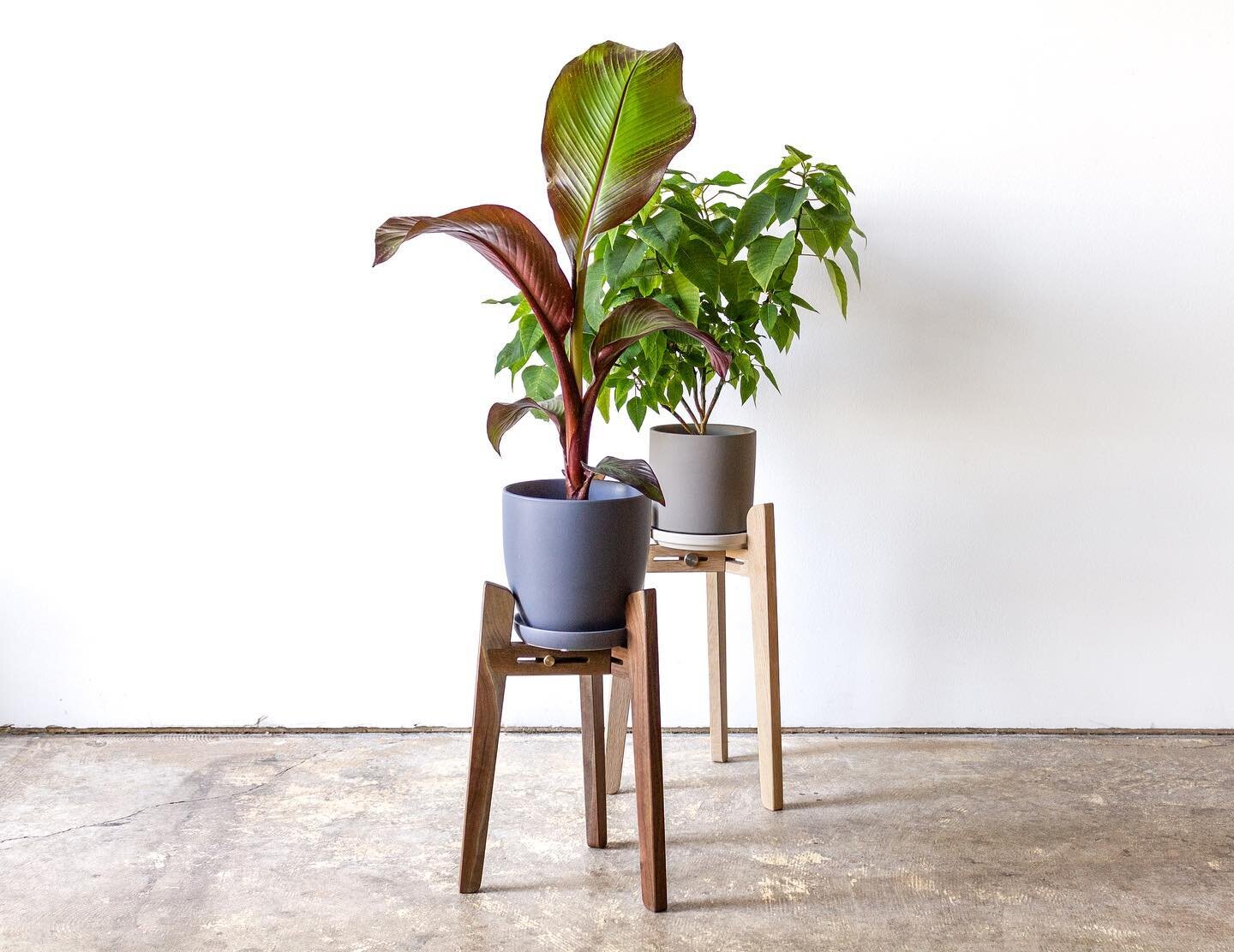 Meet Tangent. An adjustable plant stand designed to snuggly embrace pots of various shapes and sizes.

Join me on today&rsquo;s Shaper Session at 4:00 pm PT to chat about the project and show off how it&rsquo;s made. Link in bio

#shapertools #shaper