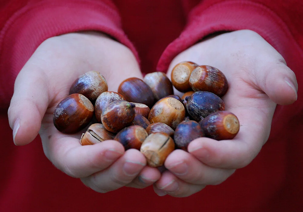 © 2020 noel_photo_eye