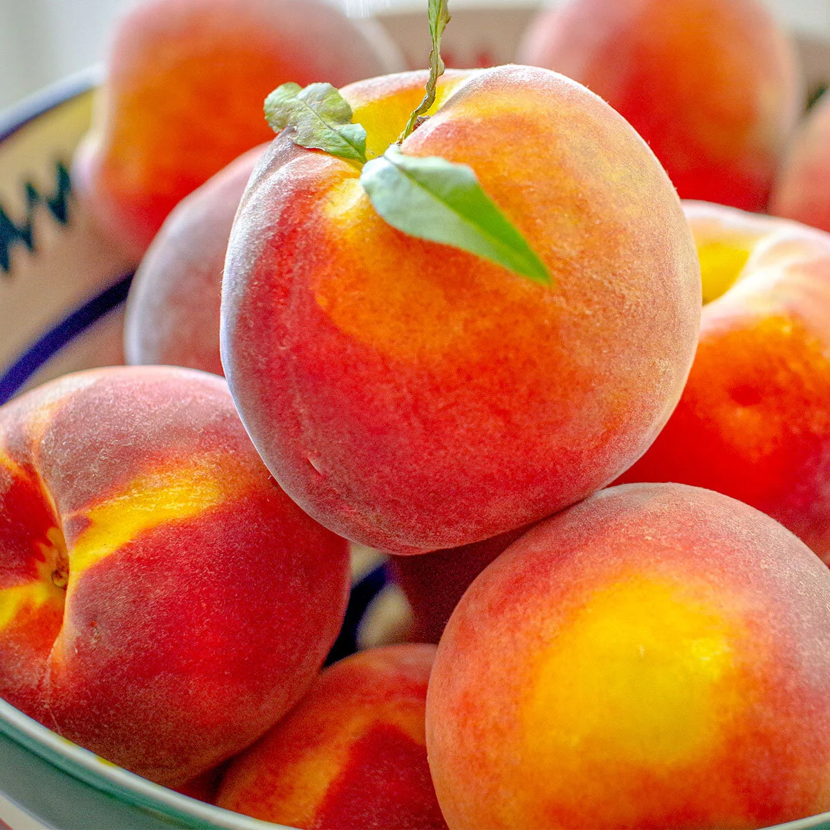 07-20-20 Peach 063 in bowl Carson picked_crop square.jpg