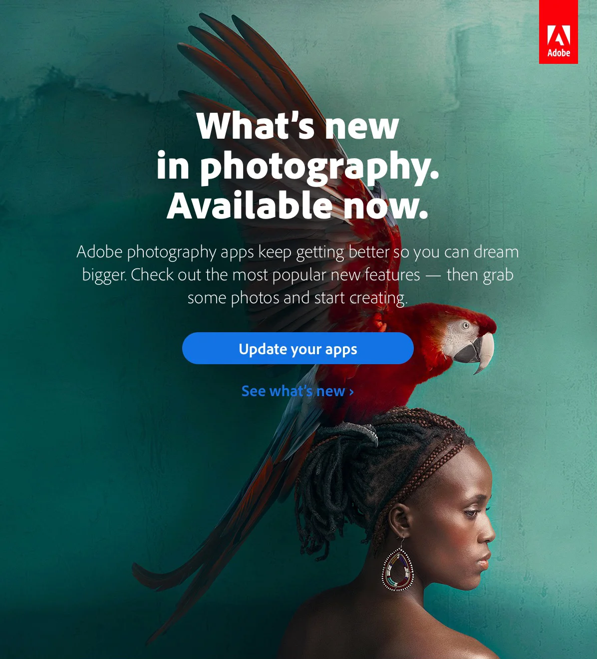 AdobeCloudPromo.jpg