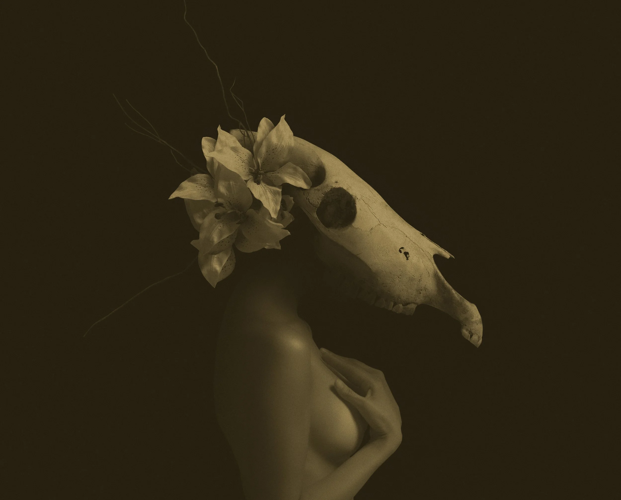 ThePriscillaProject_0161_FINAL_NOV2024_OrangePhotogravure.jpg