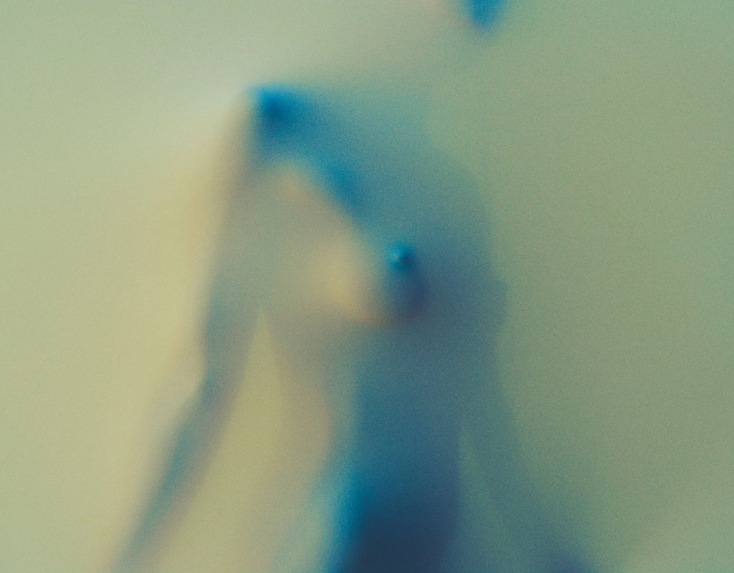 Cathy_L9Z4923_.jpg