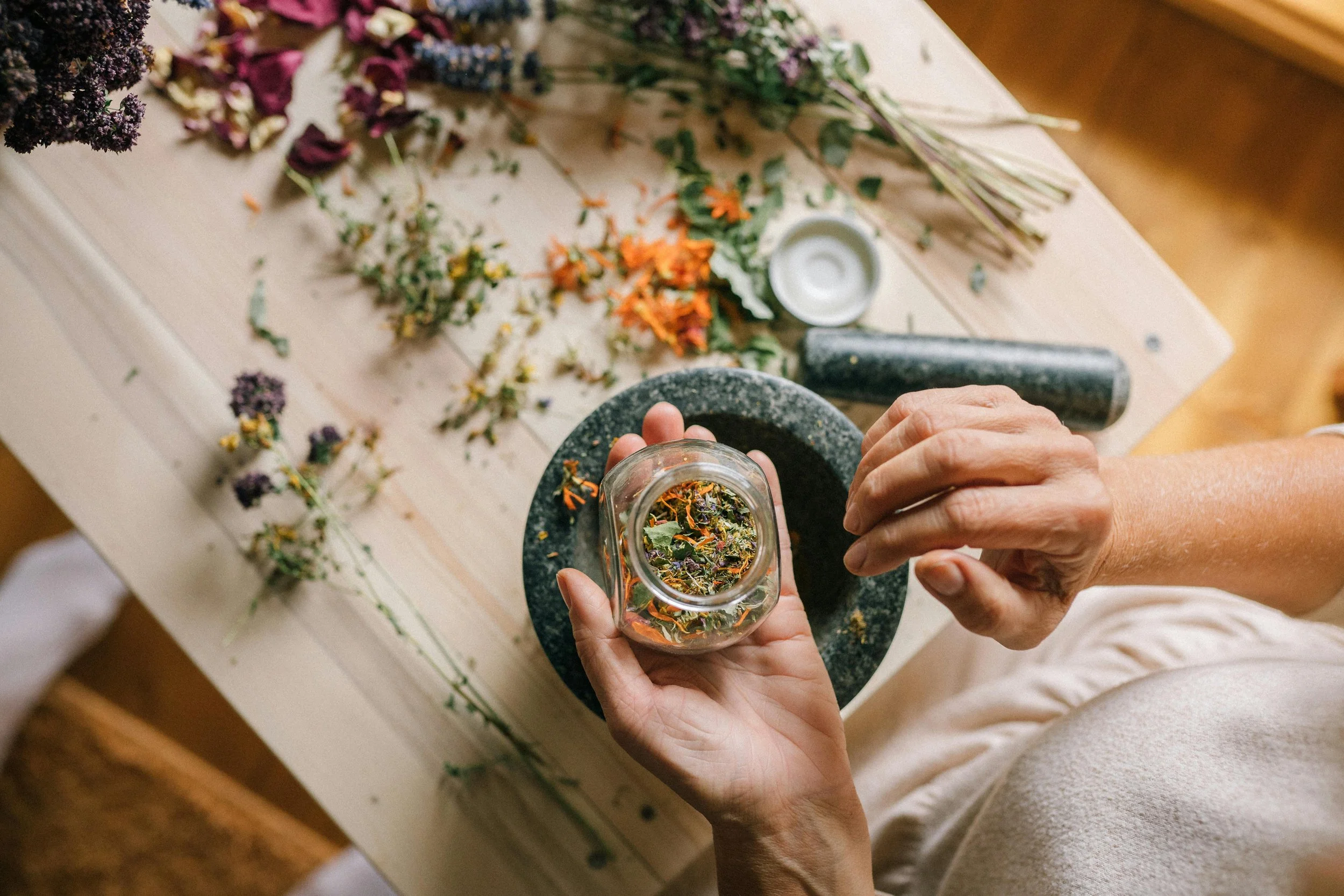 Backyard Plant Medicine | Herbal Medicine from Your Land to Your Heart
