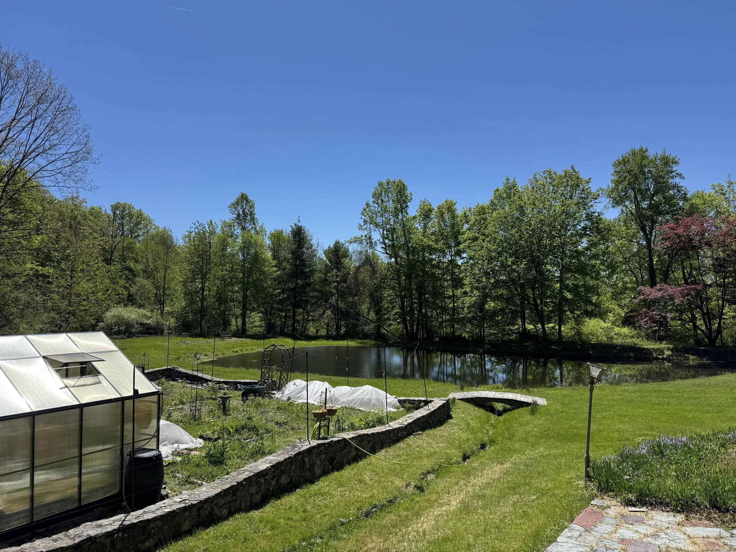 Summer Solstice Healing Circle