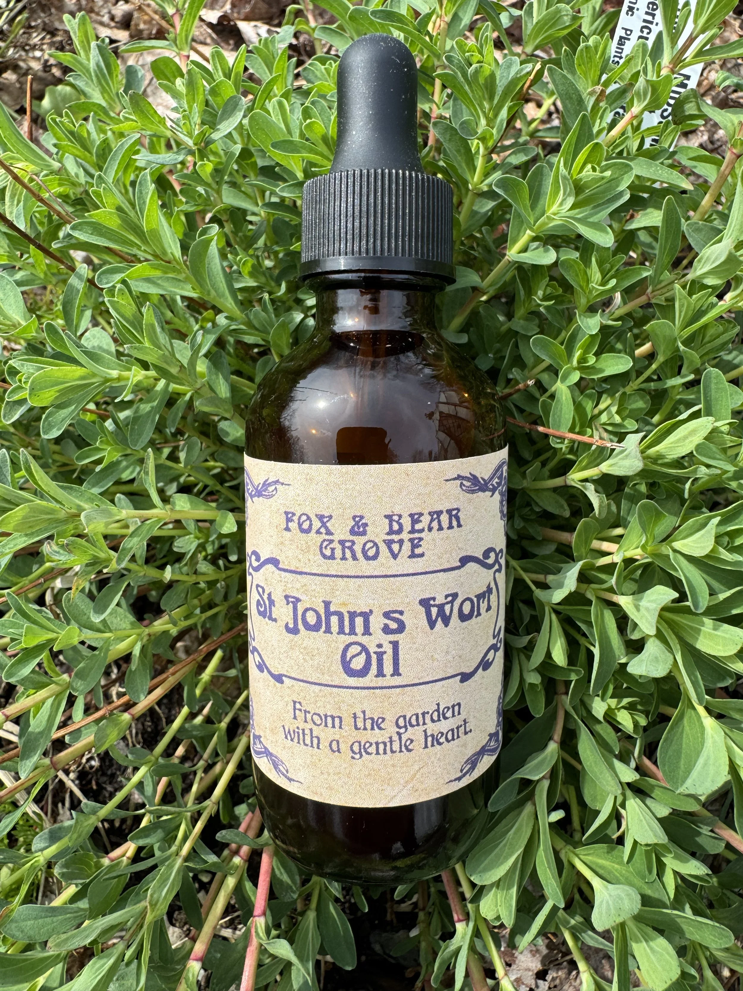 ST. JOHN'S WORT OIL (Hypericum Perforatum) - 2 oz Bottle