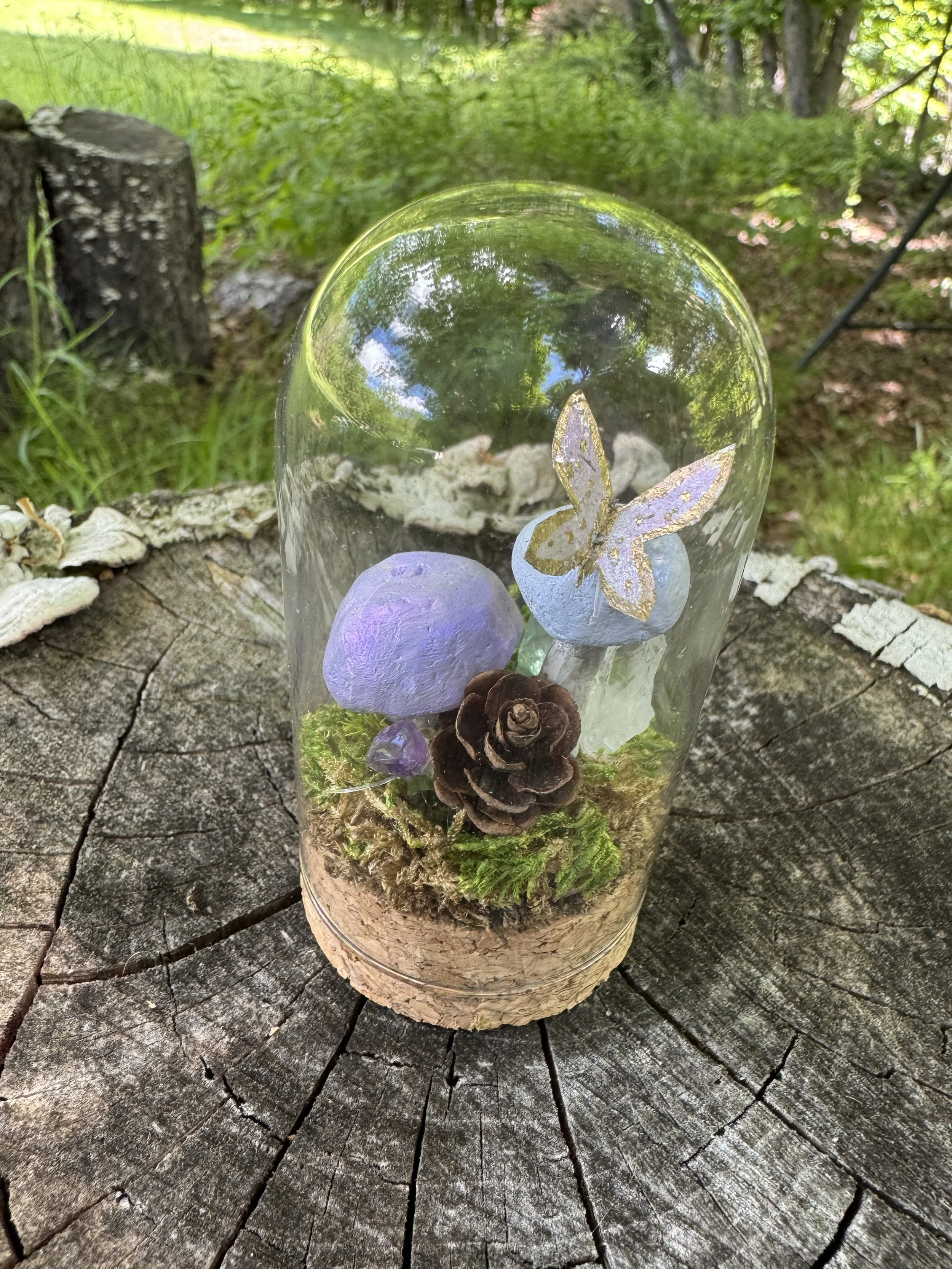 Faerie Wings & Moonlight | Miniature Mushroom Terrarium