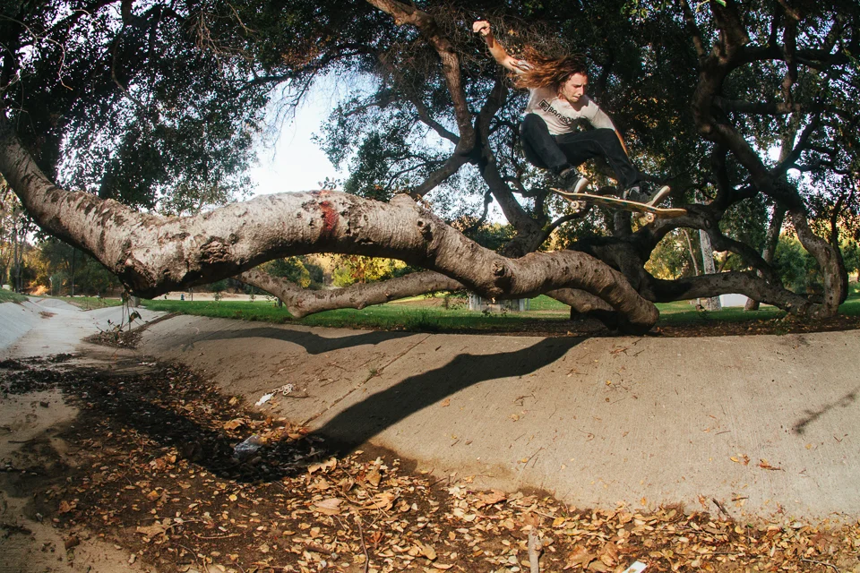 Zach Tree Ollie Lo Res-1.jpg