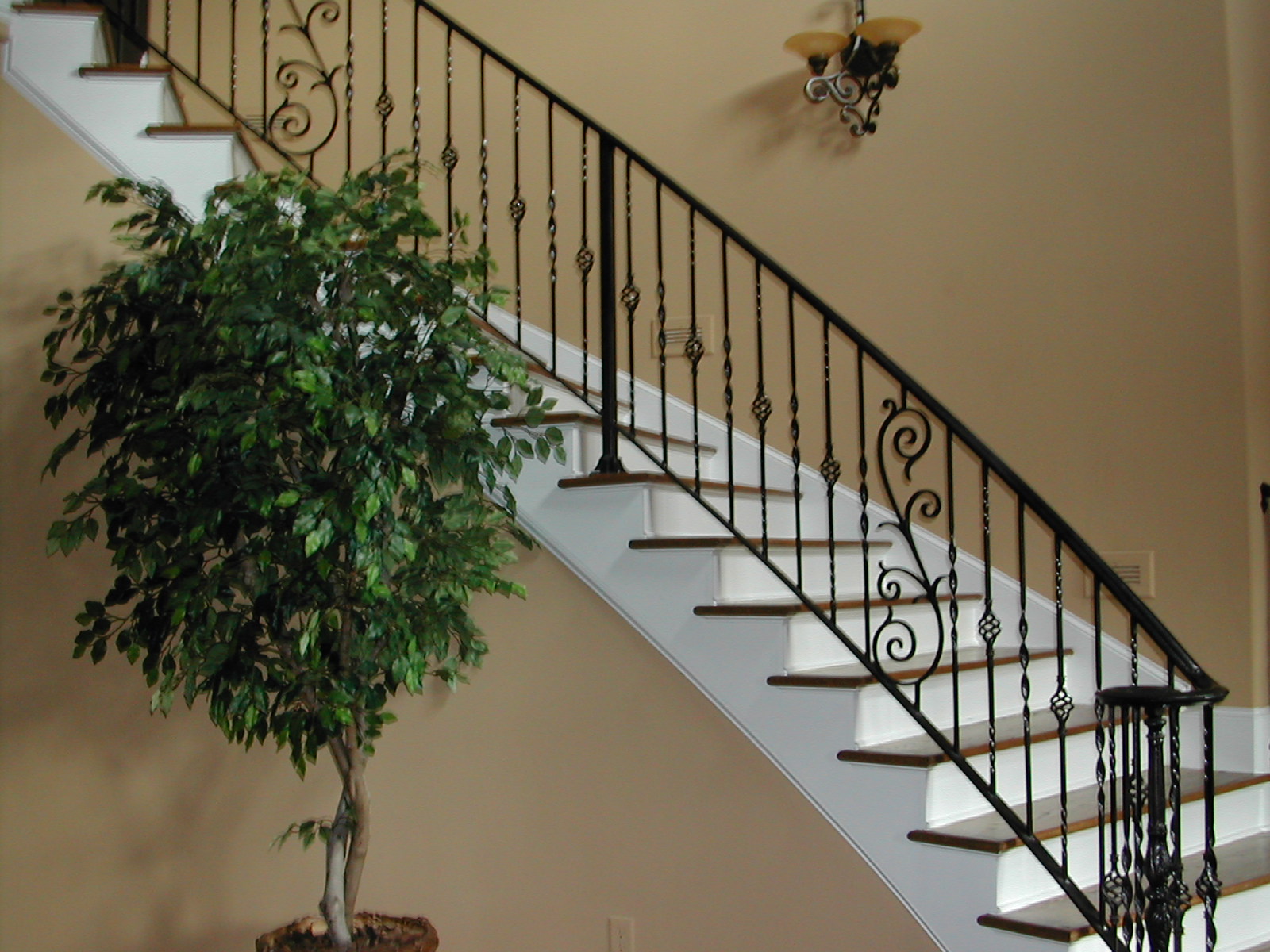 Picture 6 055.jpg
