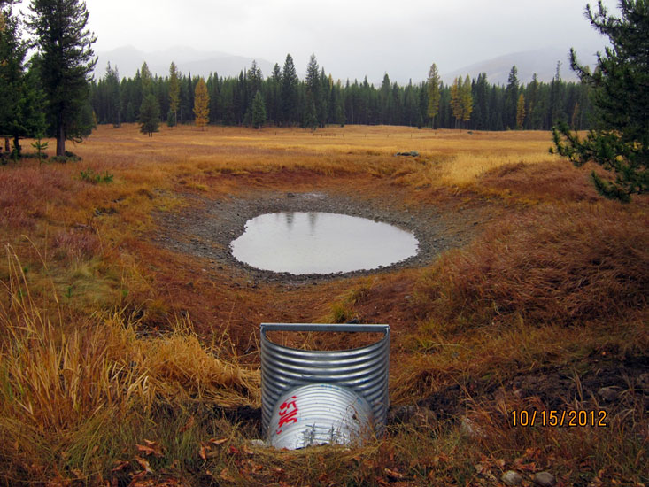 A ditched and drained wetland prior to restoring its natural hydrology.