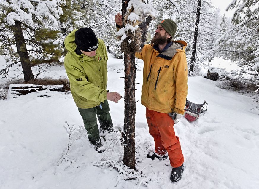 Steve Kloetzel, left, of The Nature Conservancy and Adam Lieberg, right, of Swan Valley Connections. Image: TOM BAUER/Missoulian.