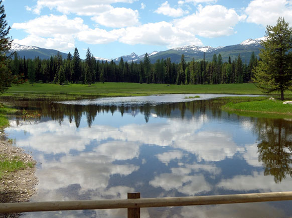 Restored hydrology of the same wetland after restoration work was completed.