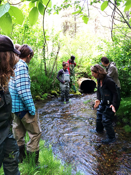Instructor Andrea Stephens explains how fish move through culverts