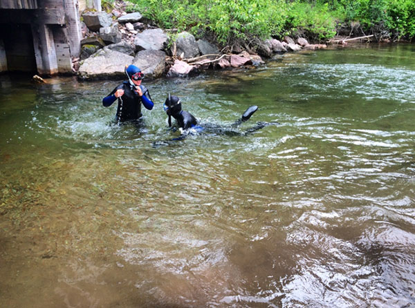 Snorkeling in Dunham Creek