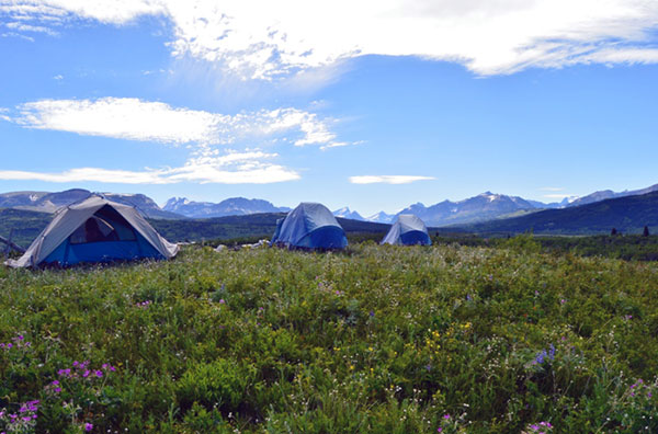 Our camp spot in Babb (Big thank you to Mike Stevenson for letting us set up shop here for a couple days!