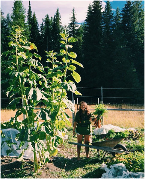 Students harvesting for the CSA dinner and soaking up the last bits of summer
