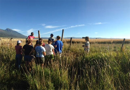 Watching the potato harvest with Susan Lake