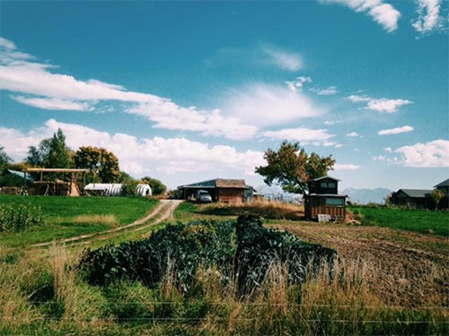 Ploughshare Farm - home to Nicole Jarvis, Cale Nittinger, Connor, and Clara