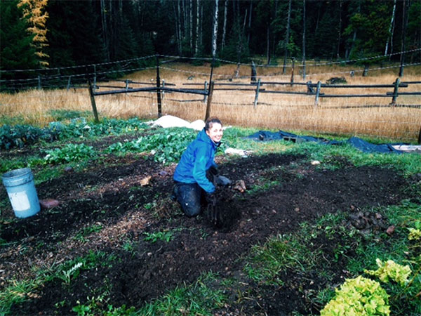 Lucy amended this bed far more beautifully than I could have ever done. She dug out old crops, weeds, and stones, and turned the soil tirelessly with a pitchfork. Anything planted in this bed next year will be nourished and happy.