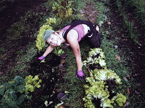 Aspen yanking out rows of bolted lettuce