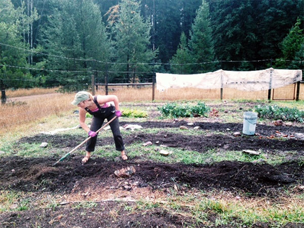 Aspen hoeing newly empty beds