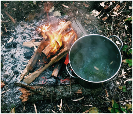 Tea from cedar leaves, douglas fir and subalpine fir needles. Delicious!