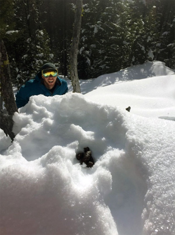 2017 field detective, Cody Dems, sniffs out a lynx scat.