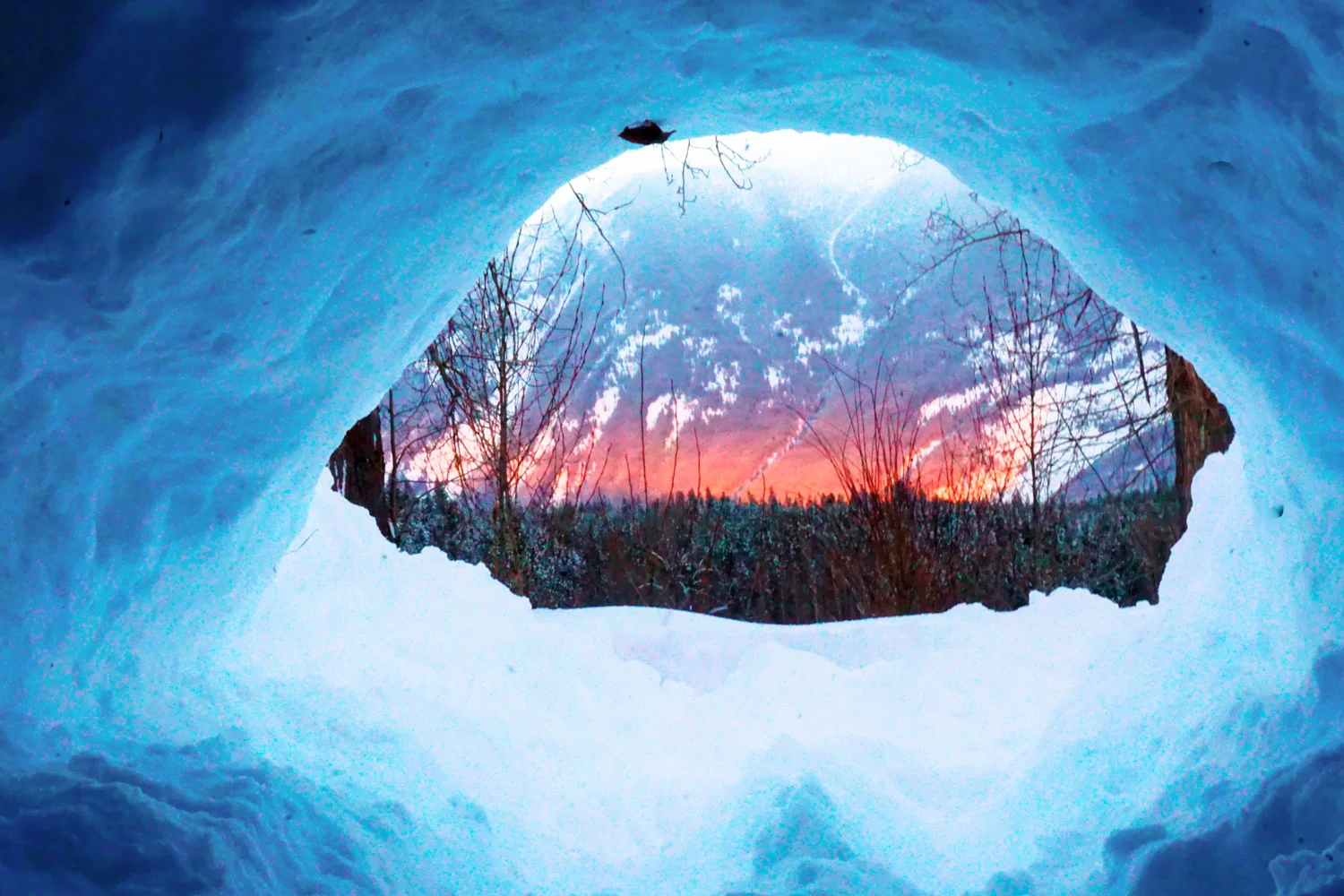 IMAGE: Chill Expeditions
